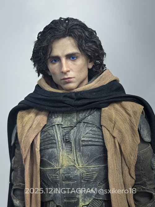 Dune Part 2 Paul Atreides customised Figure [Limited 20 set]